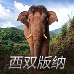 从头到尾皆可替换？41岁韩庚新剧这一镜头，狠狠打脸多少流量明星